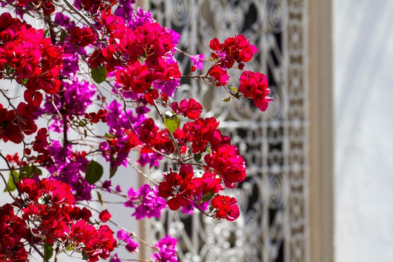 Riad Clémentine Marrakesh Exterior foto